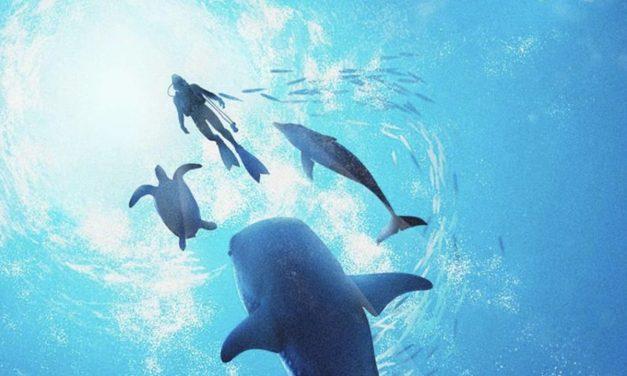 En mai, plongez sous l&rsquo;océan avec Endless Ocean Luminous