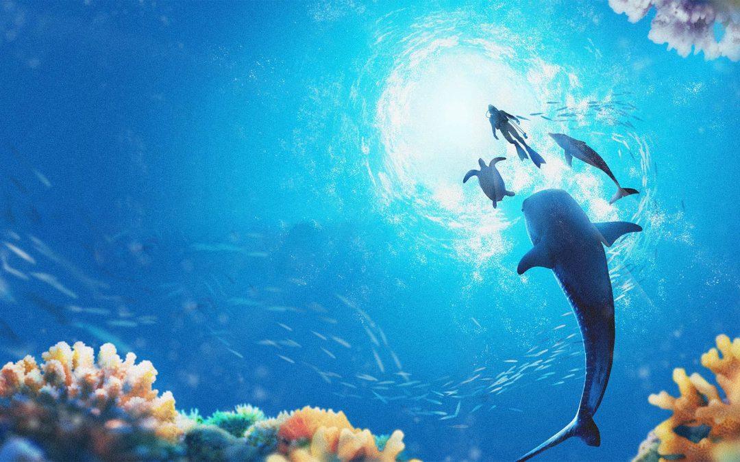 Endless Ocean : Luminous, pause fraîcheur, zen et sans pression