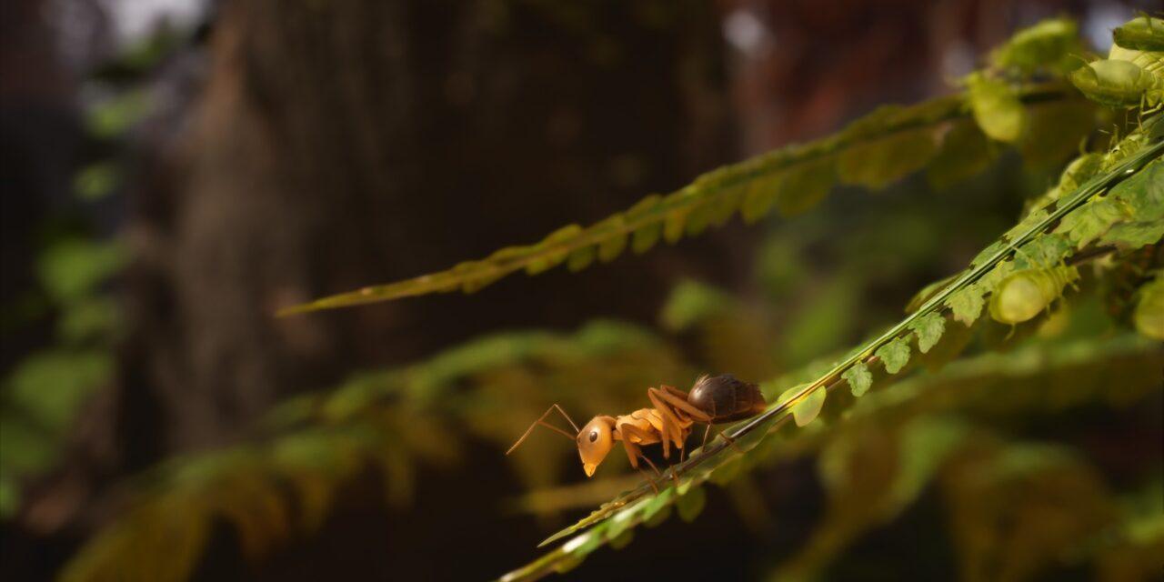 Les Fourmis font leur nid dans le jeu vidéo : découvrez le making-of