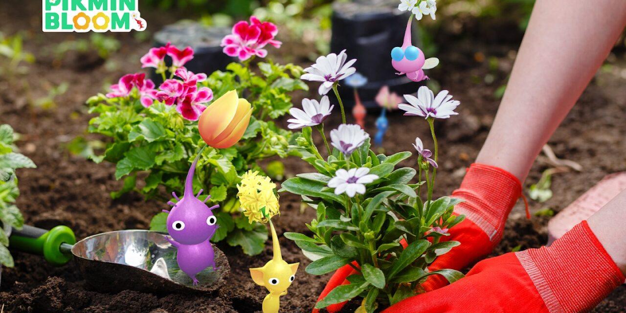 Pikmin Bloom : fleurs et cadeaux pour fêter la Journée de la Terre