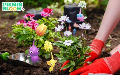 Pikmin Bloom : fleurs et cadeaux pour fêter la Journée de la Terre