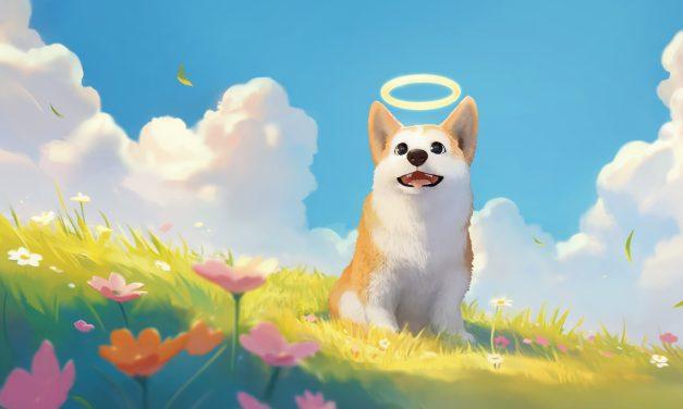 My Little Puppy : un jeu d’aventure aussi doux qu’un câlin de Corgi
