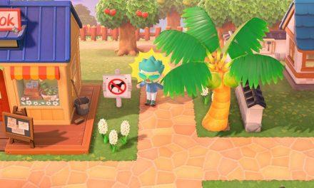Pourquoi ne peut-on créer qu&rsquo;une seule île par Switch dans Animal Crossing New Horizons