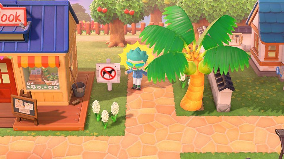 Pourquoi ne peut-on créer qu&rsquo;une seule île par Switch dans Animal Crossing New Horizons