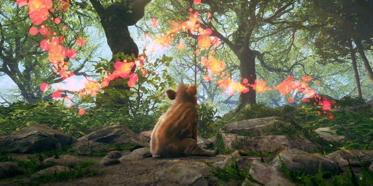 Adorable Adventures : Boris dévoile les secrets de sa création dans un Dev Diary