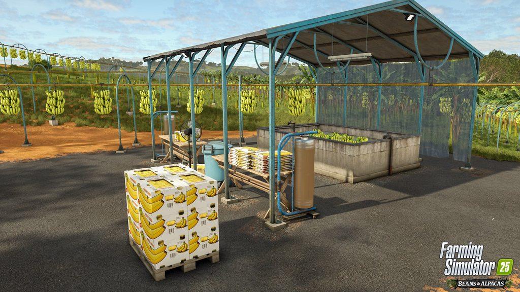 Farming Simulator 25 dépasse les 5 millions de ventes et plante ses bananes